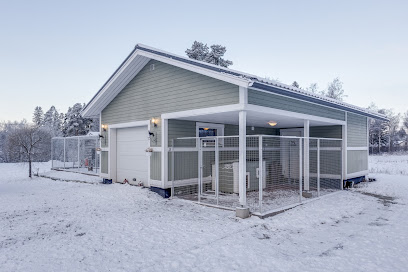 Lumetta kaupungissa Lumijoki