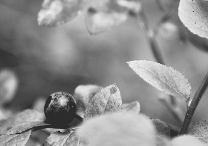 Psykoterapeutti KAT Tyonohjaaja STOry kaupungissa Tampere