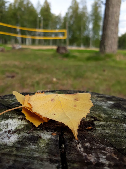 Utajarvi kaupungissa Utajarvi
