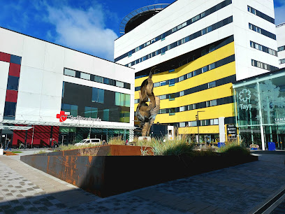 Pirkanmaan sairaanhoitopiirin kuntayhtyma – Tampere