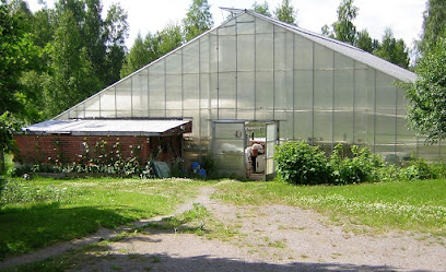 Kihnio kaupungissa Kihnio