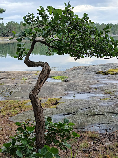 Ryhmapsykoterapia Psynergia – Helsinki