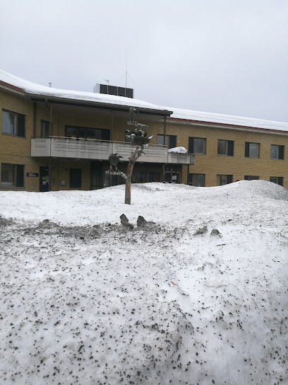 Leppavirran terveysasema kaupungissa Leppavirta