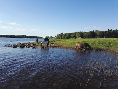 KokoMie OY kaupungissa Tornio