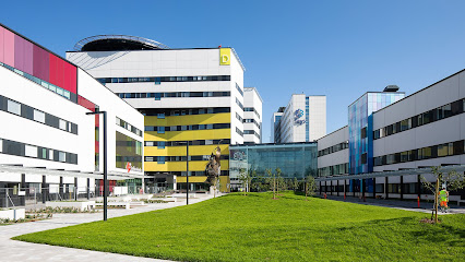 TAYS kaupungissa Tampere