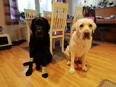 Veterinaren i Tenala Tenholan elainlaakari – Raseborg