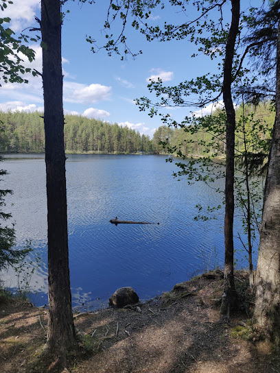 Psykoterapia ja tyonohjaus Ilkka Mustakallio – Tampere