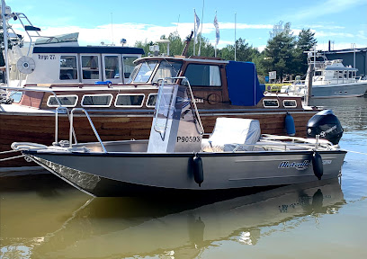 Karinakoti kaupungissa Turku