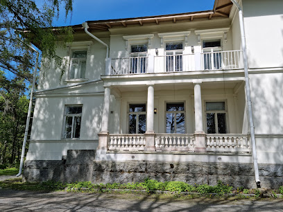 Pitkaniemen linna kaupungissa Nokia