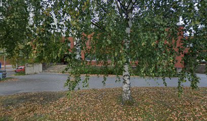 Psykologipalvelu Sanna Mujunen kaupungissa Nilsia