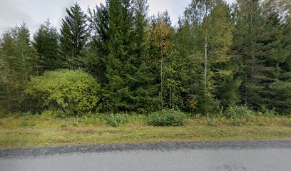 Puheterapia Symboli Eija Ylinen Oy – Yliharma