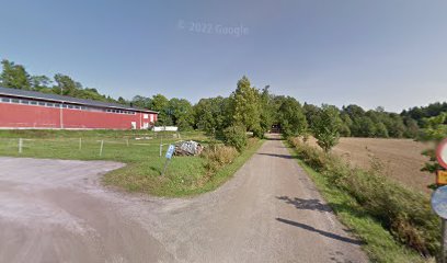 Terapiatalli kaupungissa Turku