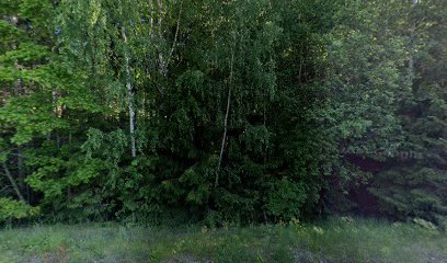 JJ Terapia- Ja kriisipalvelu – Lahti