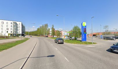 Terapiariihi kaupungissa Nummela