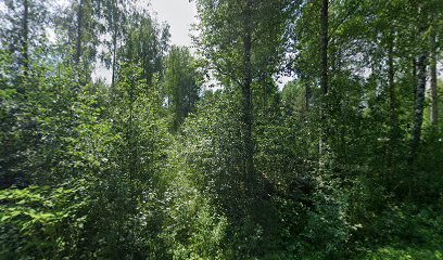 PunkaFysio kaupungissa Punkaharju