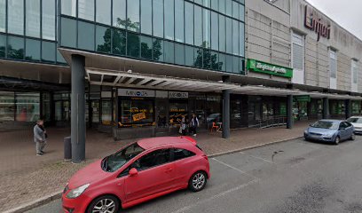 Kontingenssi – Salo