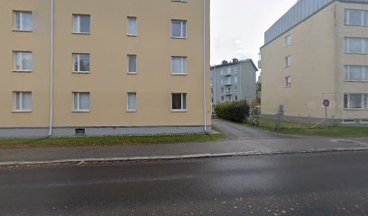 Vaestoliiton terapeutti – Niinikoski Aila – Jyvaskyla
