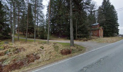 Ravintoterapia Tarja Leino – Loppi